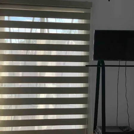 Loft Venado “Hospicio Cabanas Y Centro Joyero”